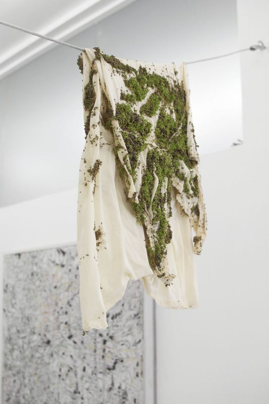 Moon Crop – Softness in Phases